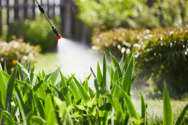 24/7 Emergency Wasp Removal experts in North Pekin, IL