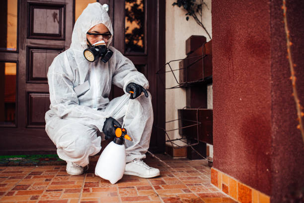 Reliable Wasp Removal contractor in North Pekin, IL by Show Me Pest Control